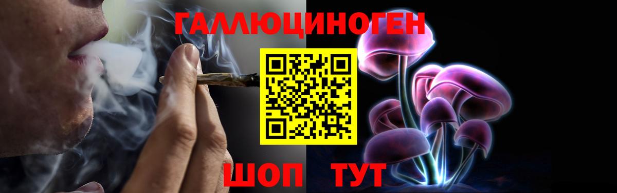 Топки  Псилоцибиновые грибы Psilocybine cubensis  Вход с VPN 
